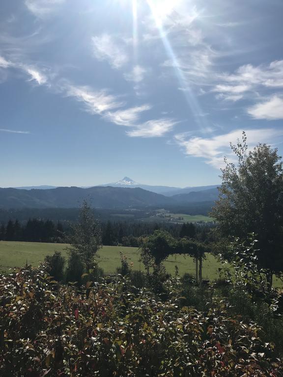 Husum Highlands Bed And Breakfast Exteriör bild